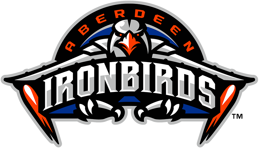 Aberdeen IronBirds 2021 Primary Logo iron on transfers for clothing